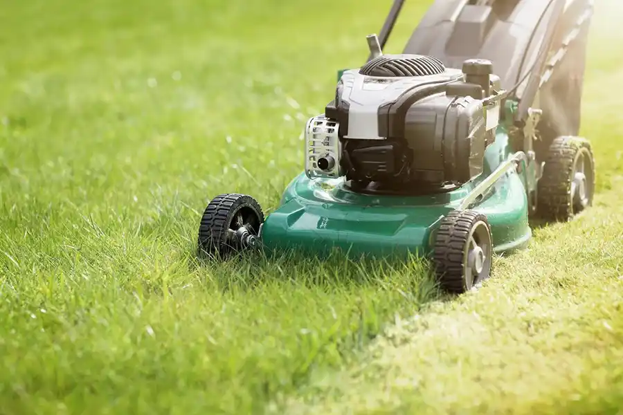 Can you mow wet grass in Waterbury, CT