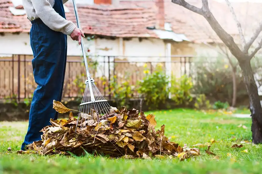 How To Clean A Backyard in Waterbury, CT