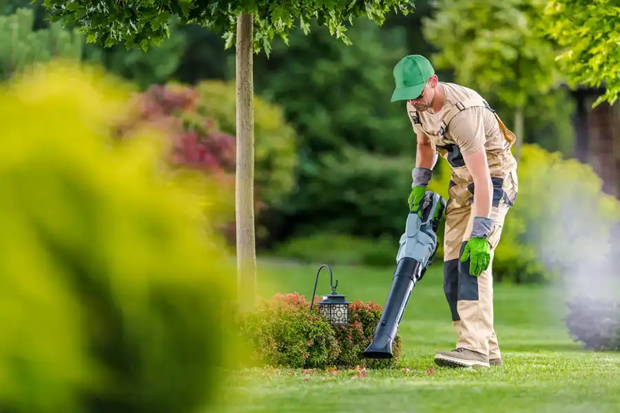 How To Clean A Backyard Waterbury, CT