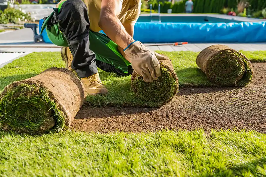 How long after installing sod can you walk on it in Waterbury, CT