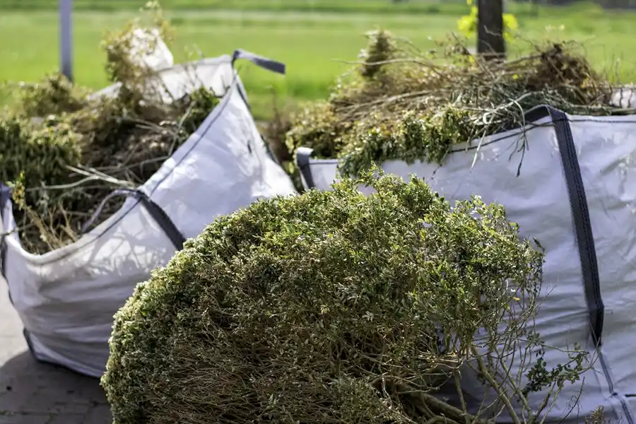 How to clear a yard full of weeds in Waterbury, CT