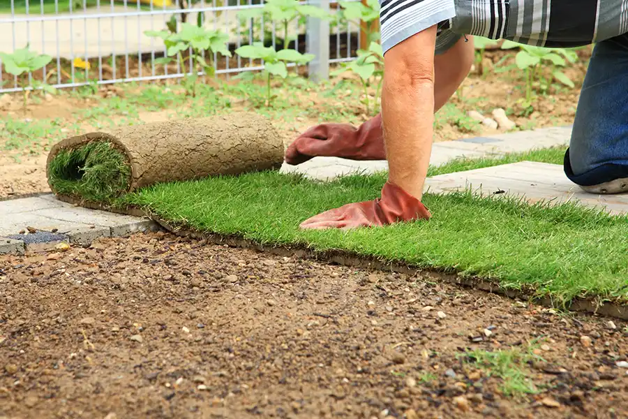 How to lay sod over existing lawn in Waterbury, CT