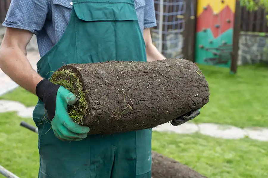 How to lay sod over existing lawn Waterbury, CT