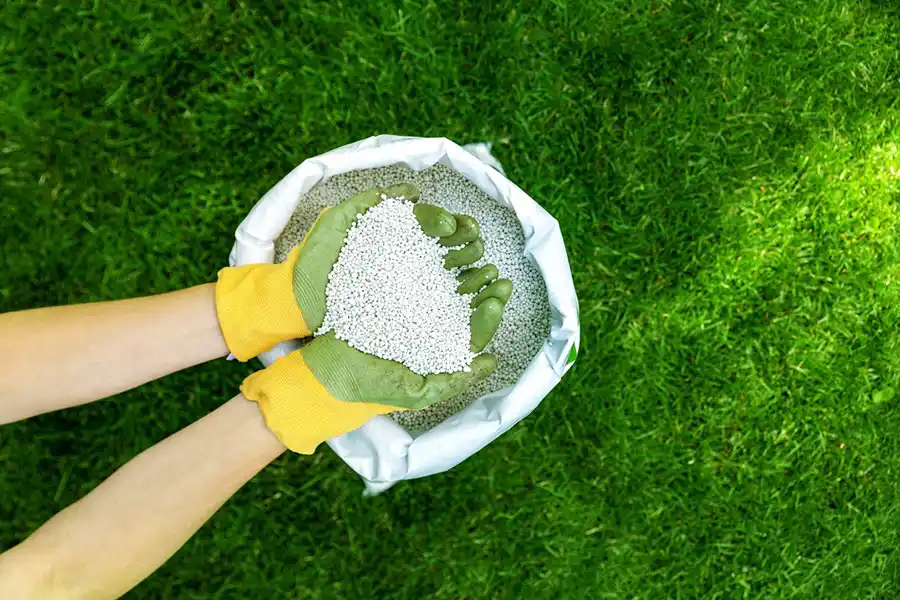 When is the best time to fertilize your lawn Waterbury, CT