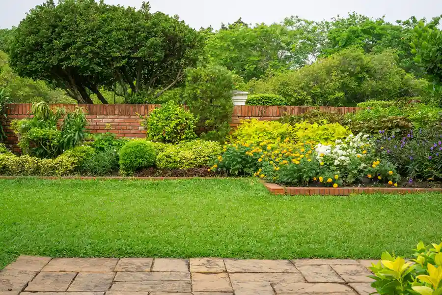 Front Yard and Backyard Landscaping
