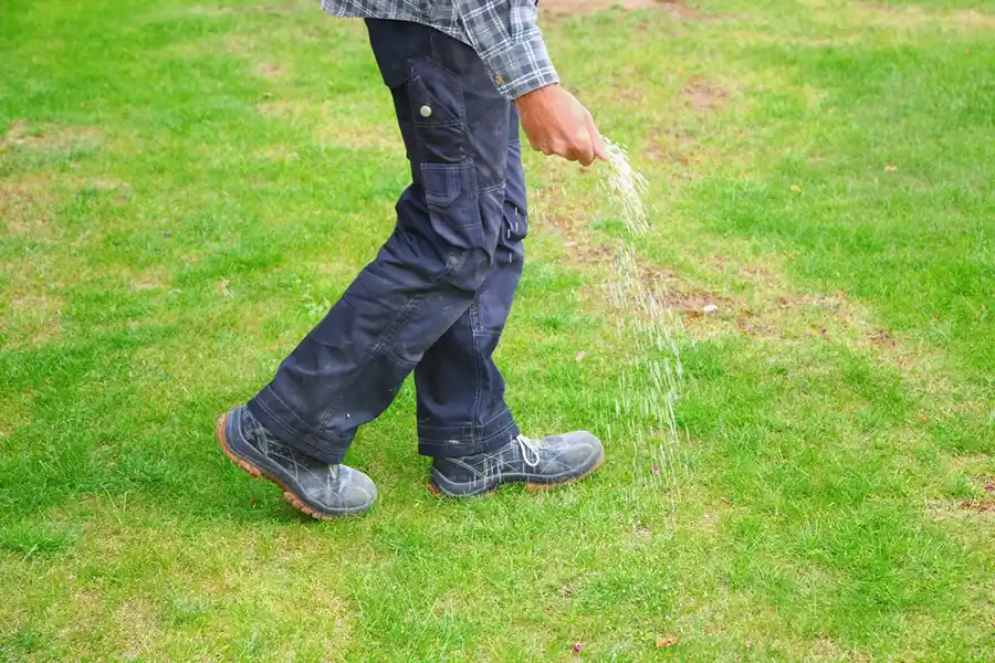 Efficient Lawn Fertilization in Waterbury, CT