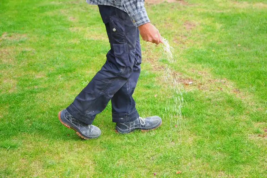 Lawn Fertilization and Irrigation Installation
