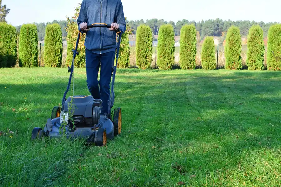 Efficient Lawn Mowing in Waterbury, CT