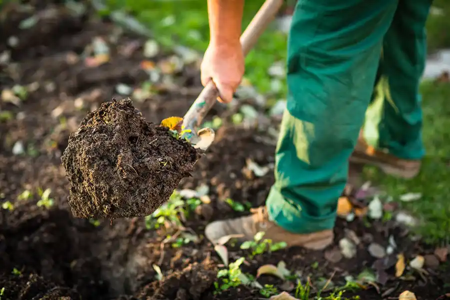 Reliable Mulching in Waterbury, CT