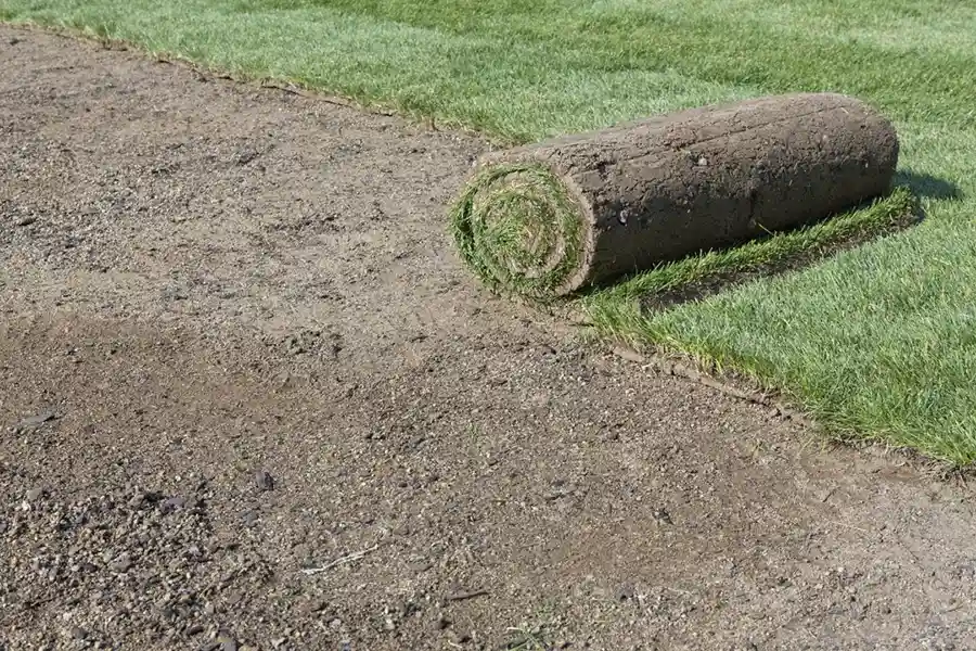 Efficient Sod Installation in Waterbury, CT