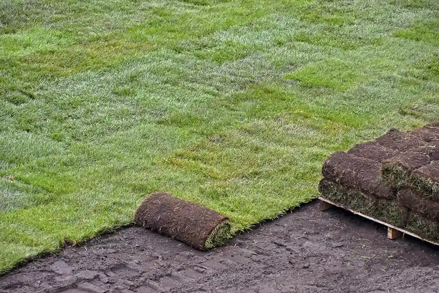 Best Sod Installation in Waterbury, CT