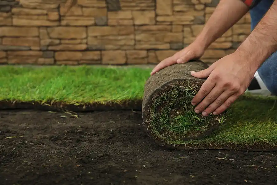 Reliable Sod Installation in Waterbury, CT