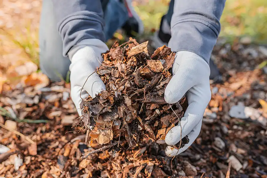 What does mulch do Waterbury, CT