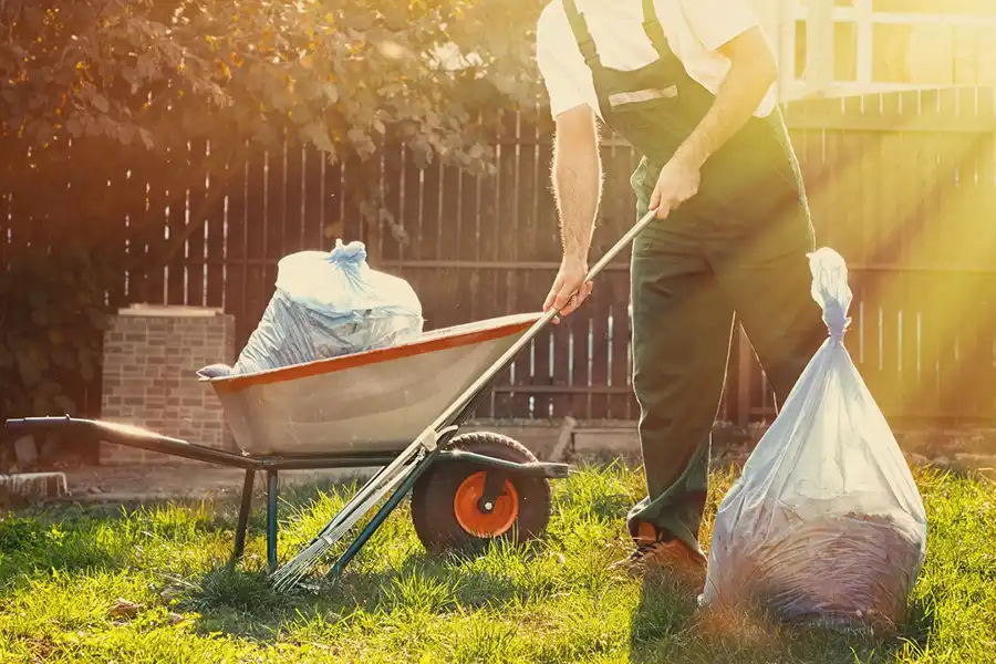 Best Yard cleanup in Waterbury, CT